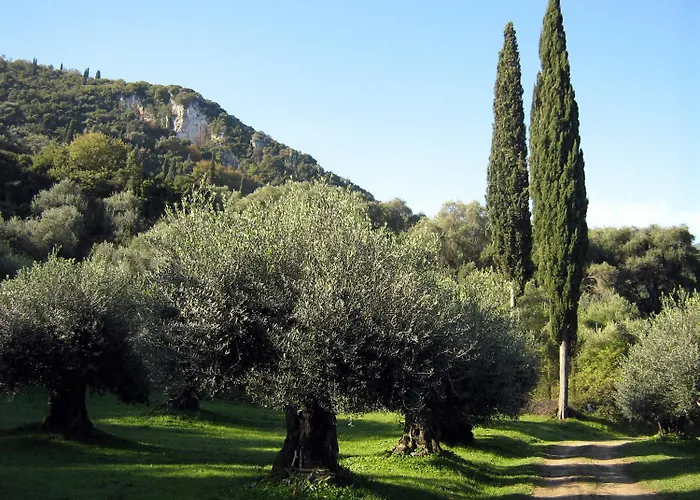 Avgoustina Venus Studios